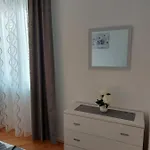 Апартаменты Hrzic *